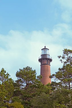 currituck plaj deniz feneri ve çam ağaçları corolla, Kuzey yakınında