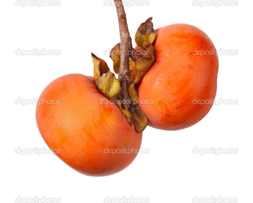 Two ripe persimmon fruits hanging from a tree
