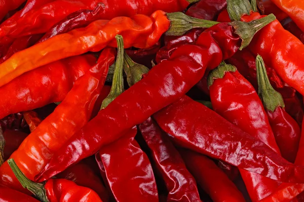 Dried red hot chili peppers fill the frame — Stock Photo, Image