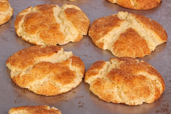 Tava üzerinde hala taze pişmiş tarçınlı kurabiye — Stok fotoğraf