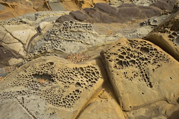 Pebble beach tafoni formations at Bean Hollow State Beach in Cal — Stock Photo, Image