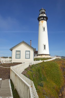 Güvercin california central coast deniz feneri üzerine gelin.
