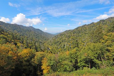 büyük smoky Dağları Milli Parkı içinde erken sonbahar