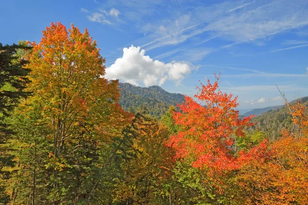 Begin van de herfst in great smoky mountains national park — Stockfoto