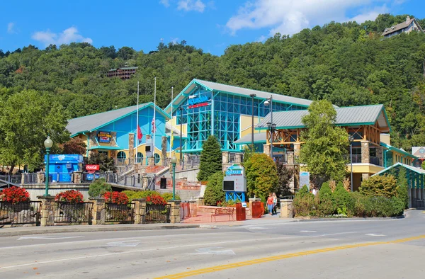 Ripleys akwarium smokies w gatlinburg, tennessee — Zdjęcie stockowe