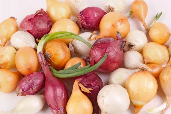 Oignons rouges, blancs et jaunes prêts à être plantés — Photo