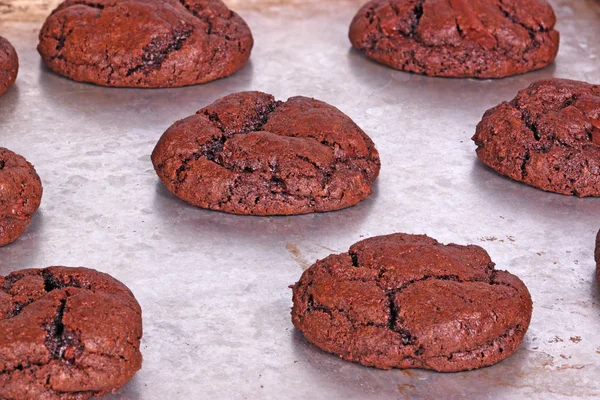 Freshly baked, home-made chocolate cookies still on the pan — Stock Photo, Image