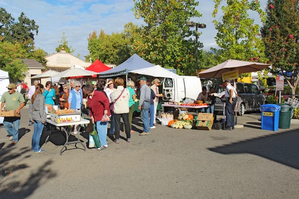 Compradores e vendedores no mercado de agricultores em Calistoga, Californi — Fotografia de Stock