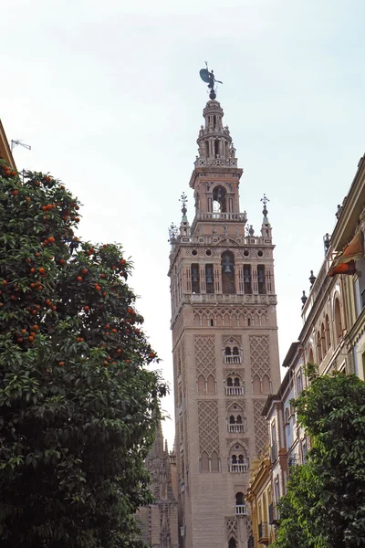 Wieży giralda w Sewilli, w Hiszpanii pionowe — Zdjęcie stockowe