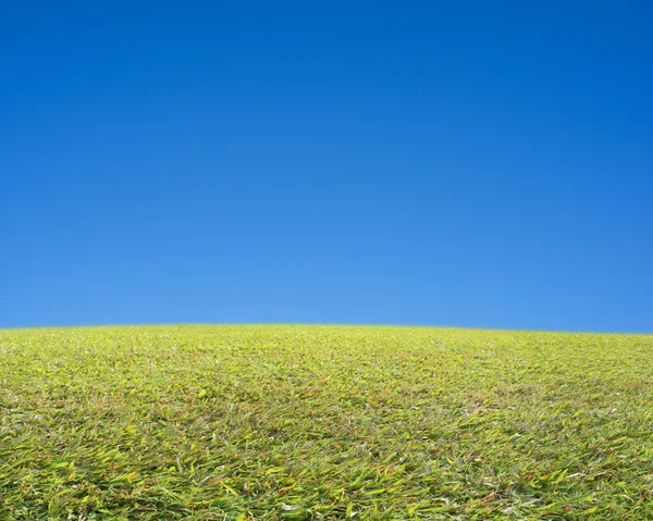 Beautiful landscape with green meadow, fresh air and clean blue — Stock Photo, Image