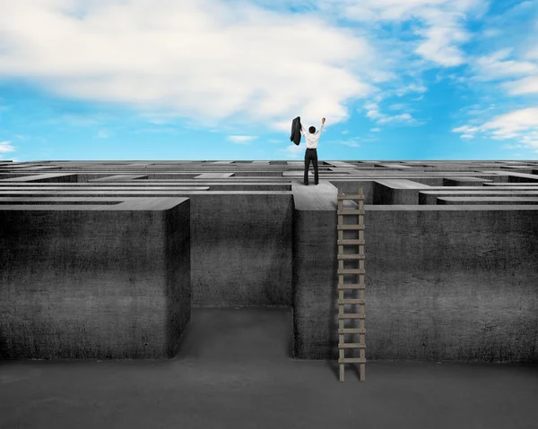 Jublade affärsman klättrar på toppen labyrint vägg med sky — Stockfoto