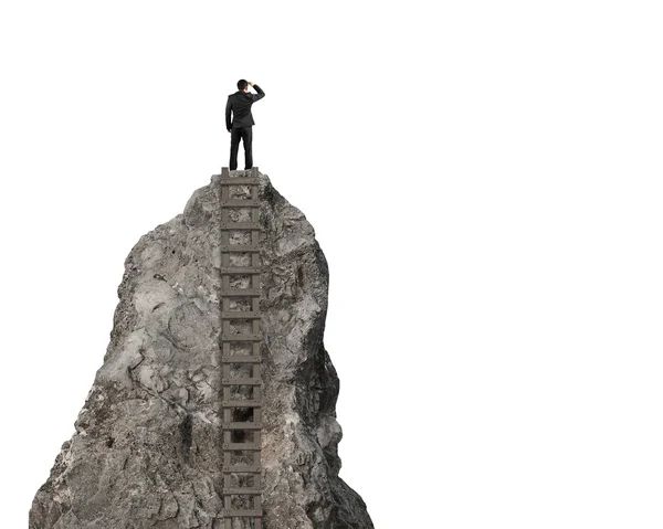 Gazing on top of rocky hill with wooden ladder — Stock Photo, Image