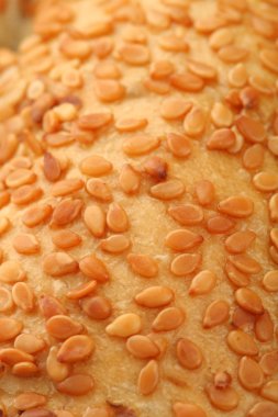 taze ekmek ile susam, arka plan