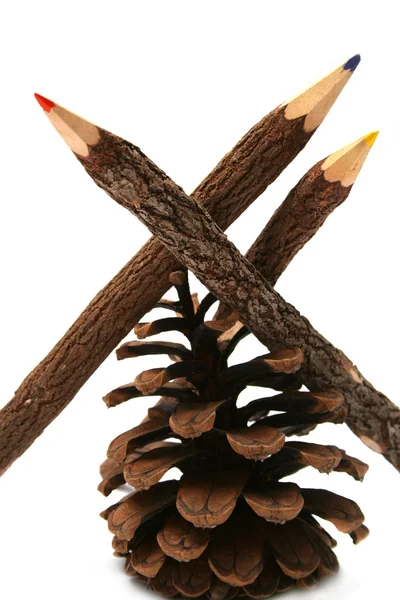 Bir ağaç dalı yapılmış üç çekirdek — Stok fotoğraf