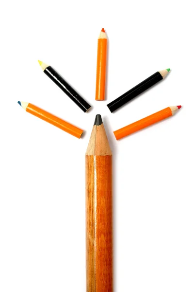 Boom gemaakt van potloden van de verschillende grootte en kleur — Stockfoto