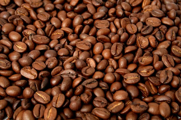 Background made of the fried grains of coffee — Stock Photo, Image