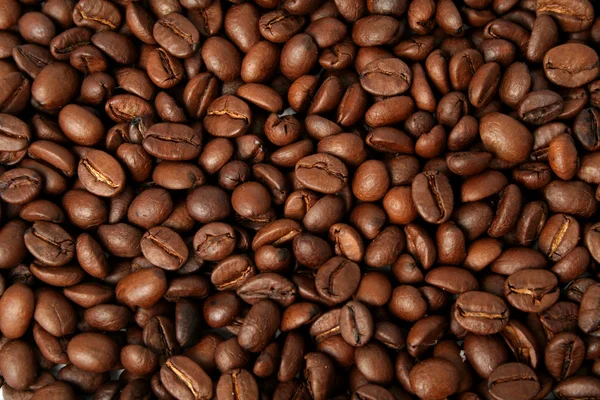 Background made of the fried grains of coffee — Stock Photo, Image