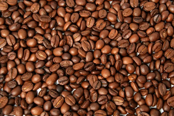 Background made of the fried grains of coffee — Stock Photo, Image