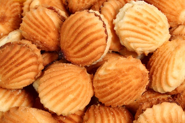 Cookies with a fruit stuffing in the form of sea cockleshells — Stock Photo, Image