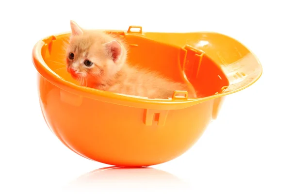 Pequeño gatito y naranja hardhat —  Fotos de Stock