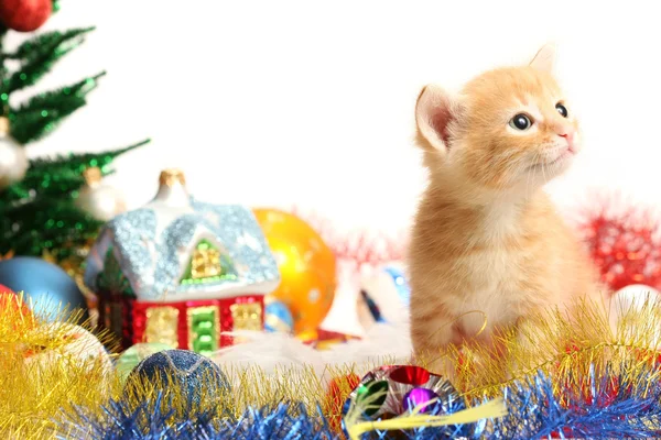 Small kitten and christmas ornaments — Stock Photo, Image