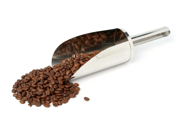 The fried grains of coffee and metal scoop — Stock Photo, Image