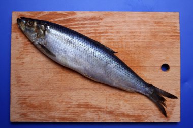 oyun tahtası tuzlu ringa balığı