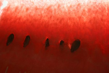 karpuz tohum ile dilimlenmiş