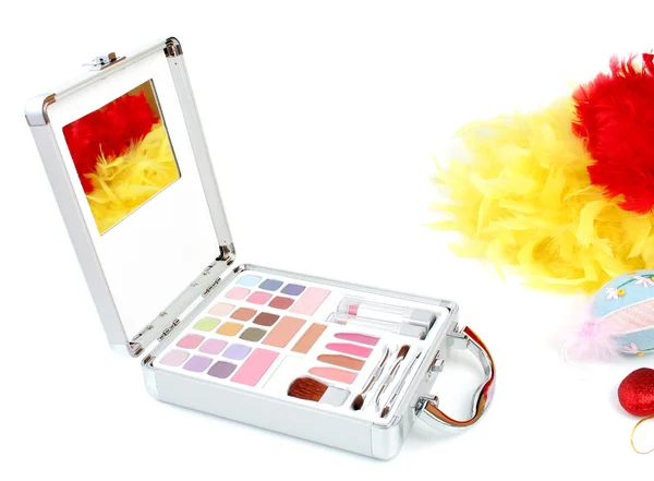 Makeup briefcase and feathers — Stock Photo, Image