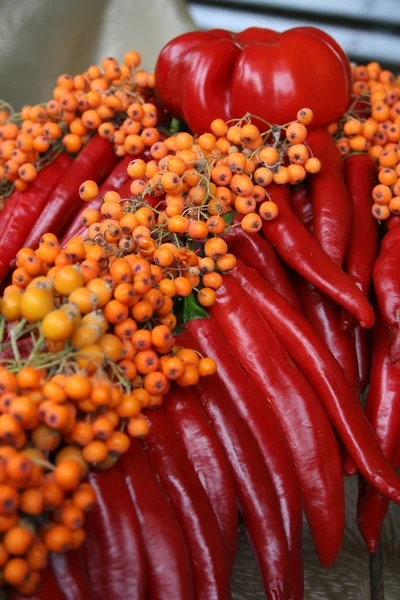 Tomaatin ja pippurin koostumus — kuvapankkivalokuva