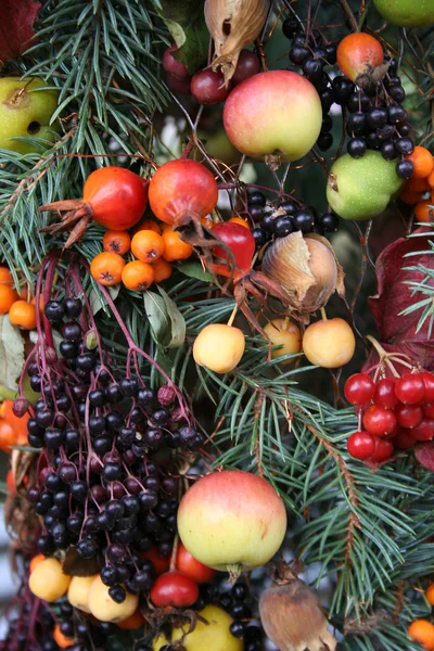 Composition made of a fur-tree branch and autumn gifts — Stock Photo, Image