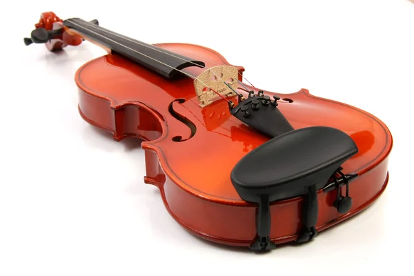 Violín en blanco — Stockfoto