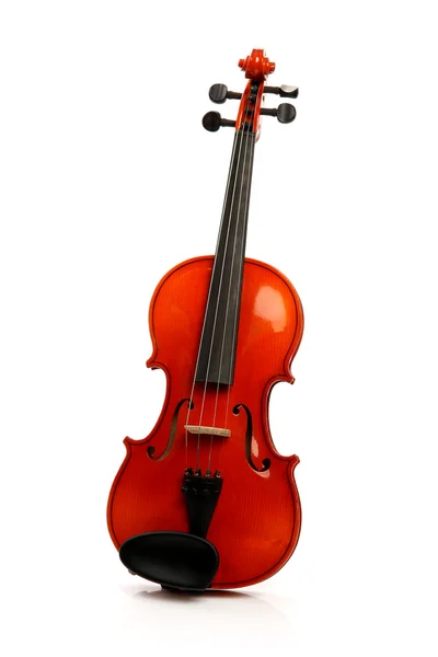 화이트 바이올린 — 스톡 사진