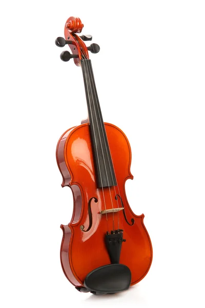 Violín en blanco — Stockfoto