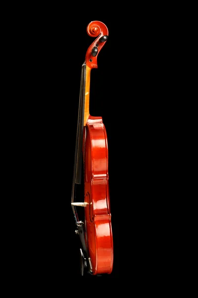 Violin on black — Stock Photo, Image