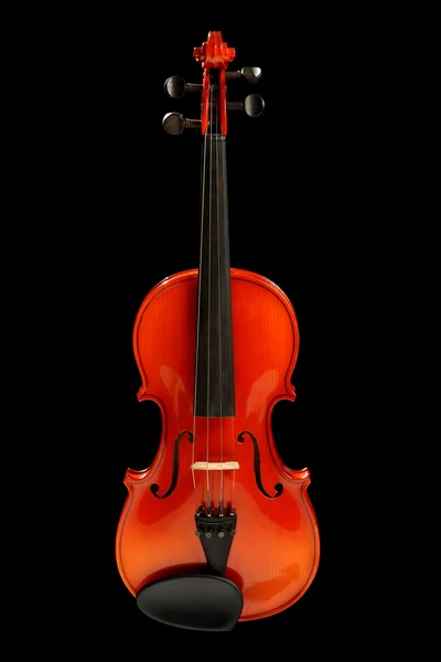 Geige auf schwarz — Stockfoto