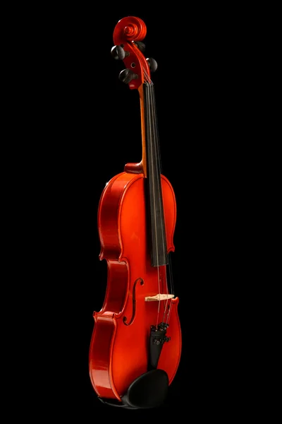 Violino em preto — Fotografia de Stock