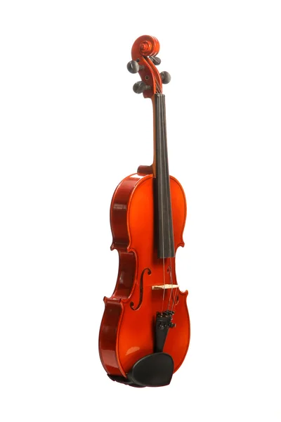 白のヴァイオリン — ストック写真