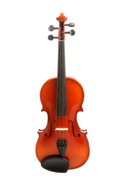 Violín en blanco — Stockfoto