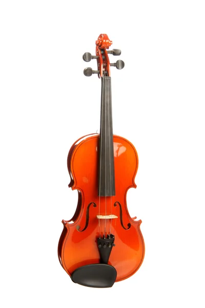 Geige auf Weiß — Stockfoto