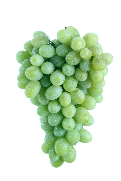 Aglomerado de uvas verdes — Fotografia de Stock