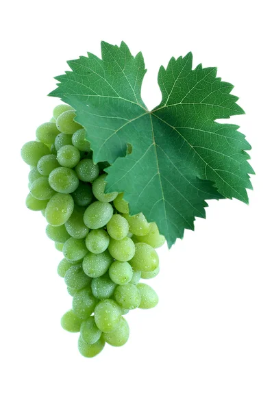 Green grape cluster with leaf — Stock Photo, Image