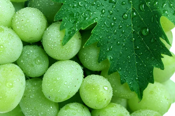 Зеленый виноград с листьями — стоковое фото