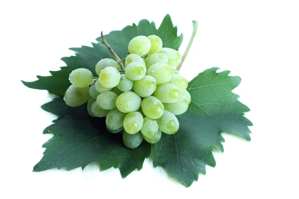 Green grape cluster on leaf — Stock Photo, Image