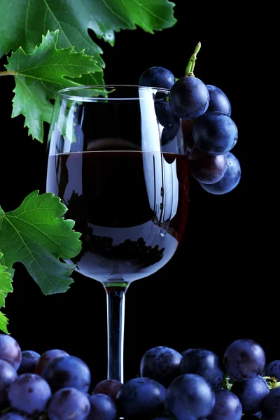 Blue grape cluster and red wine — Stock Photo, Image