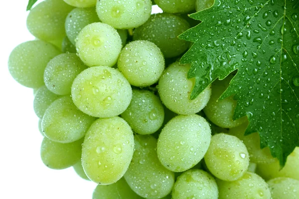 Green grape cluster with leaves — Stock Photo, Image