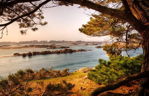 Landskap i Bretagne — Stockfoto