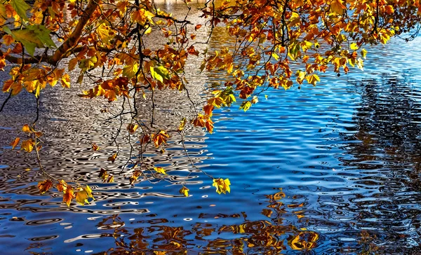 Sonbaharda canal — Stok fotoğraf