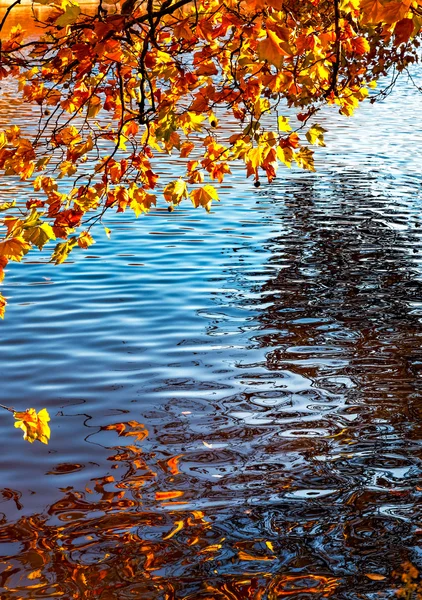 Kanal im Herbst — Stockfoto