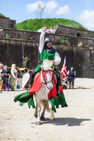 Victorious Knight — Stock Photo, Image